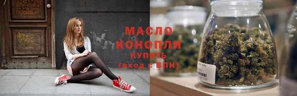 скорость Ельня