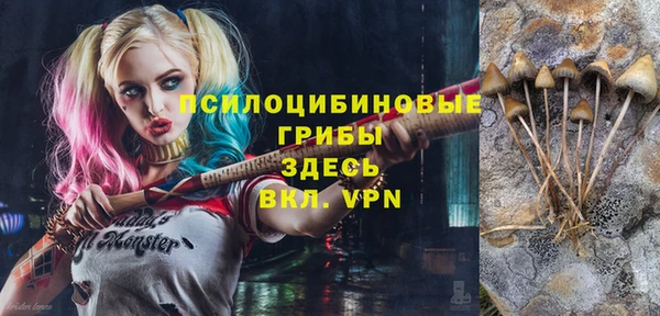 ALPHA PVP Лихославль