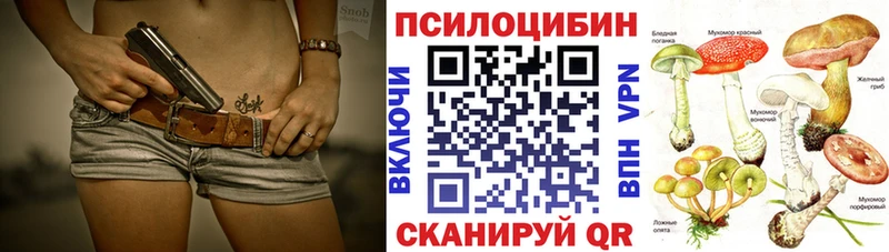где можно купить   Павловск  Галлюциногенные грибы GOLDEN TEACHER 